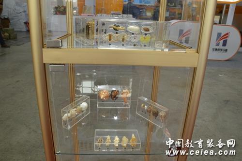 第70屆中國(guó)教育裝備展 棲霞市弘儒生物亮相(圖4)