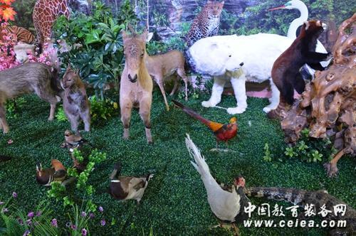 第70屆中國(guó)教育裝備展 棲霞市弘儒生物亮相(圖2)