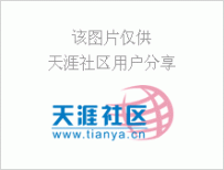 最詳細(xì)的展會英語全在這里了